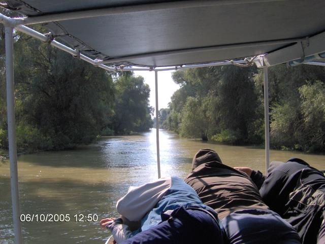 delta rosu 2005 - im000736.jpg